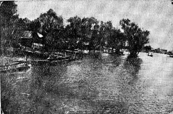 Рис. 5. Река Дон, ст. Старочеркасская, 1912 г.
