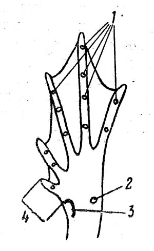 Рис. 9. Задняя лапка Rana. 1 - сочленовные бугорки; 2 - внешний пяточный бугор; 3 - внутренний пяточный  бугор; 4 - длина первого пальца.
